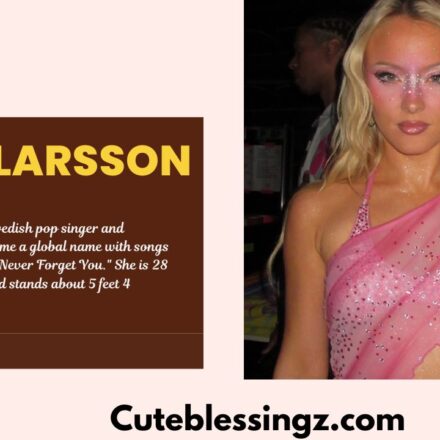 Zara Larsson Singer Height, Weight, Age, Family, Bio, & Net worth